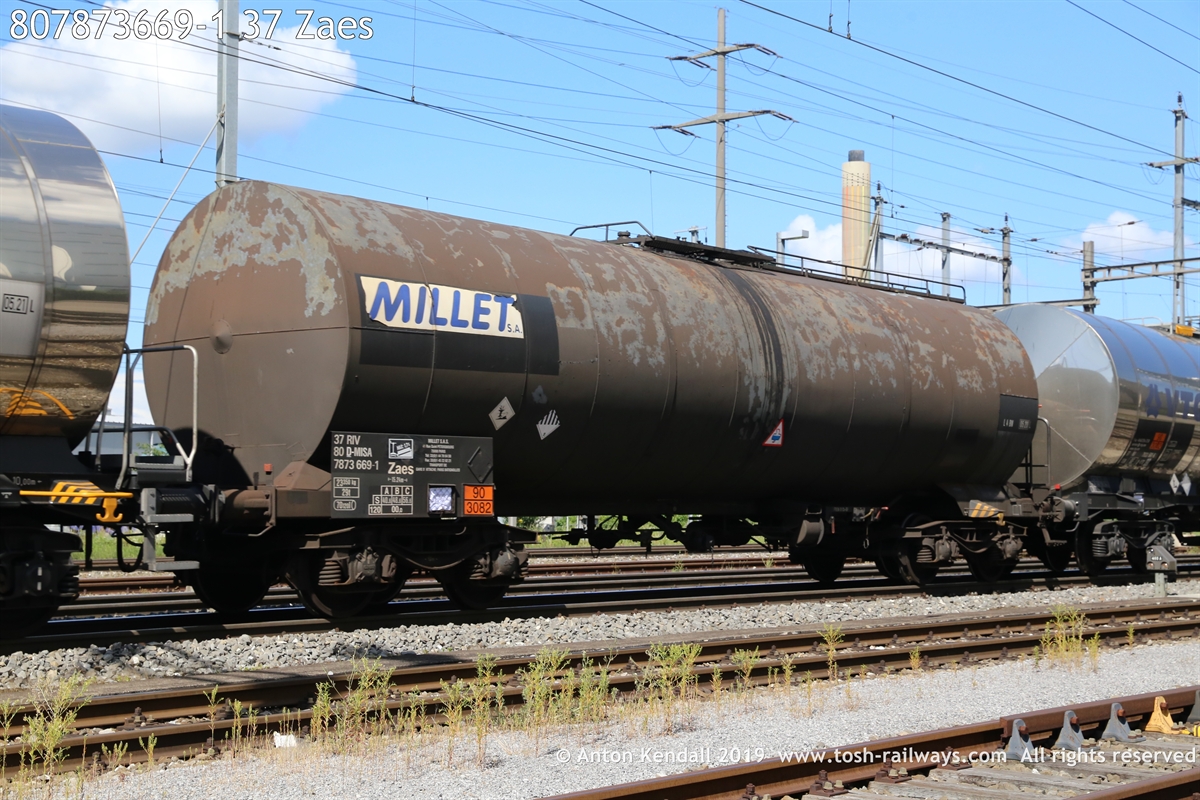 807873669-1_37 Zaes.JPG